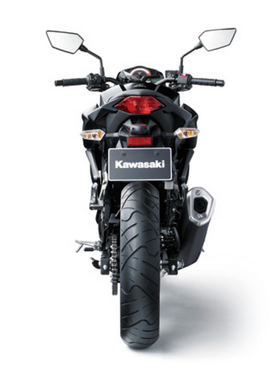 2014 Kawasaki Z250 Rear