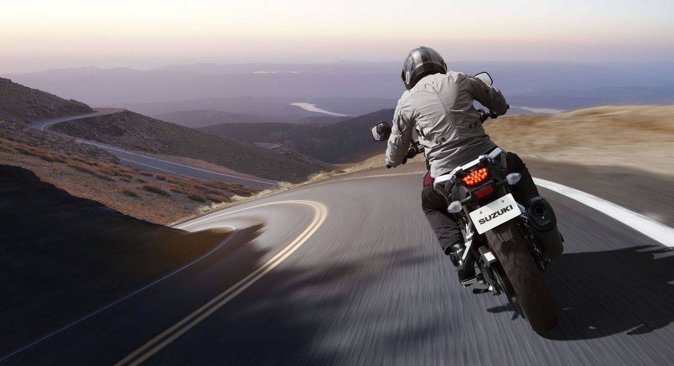 2014 Suzuki V-Strom 1000 Rear