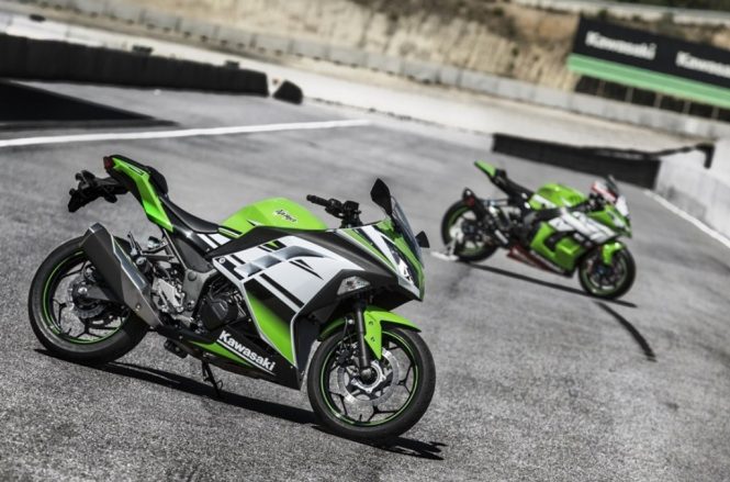 2015 Kawasaki Ninja 300 Anniversary Edition