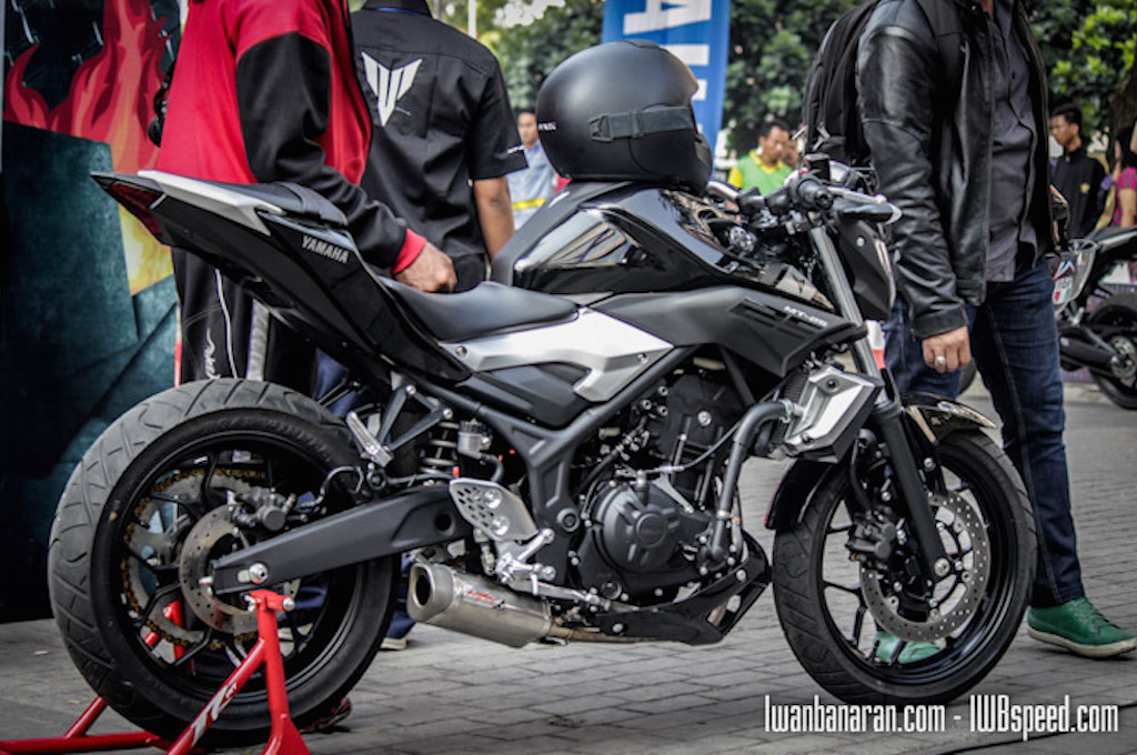 2015 Yamaha MT-25 Stunt Video