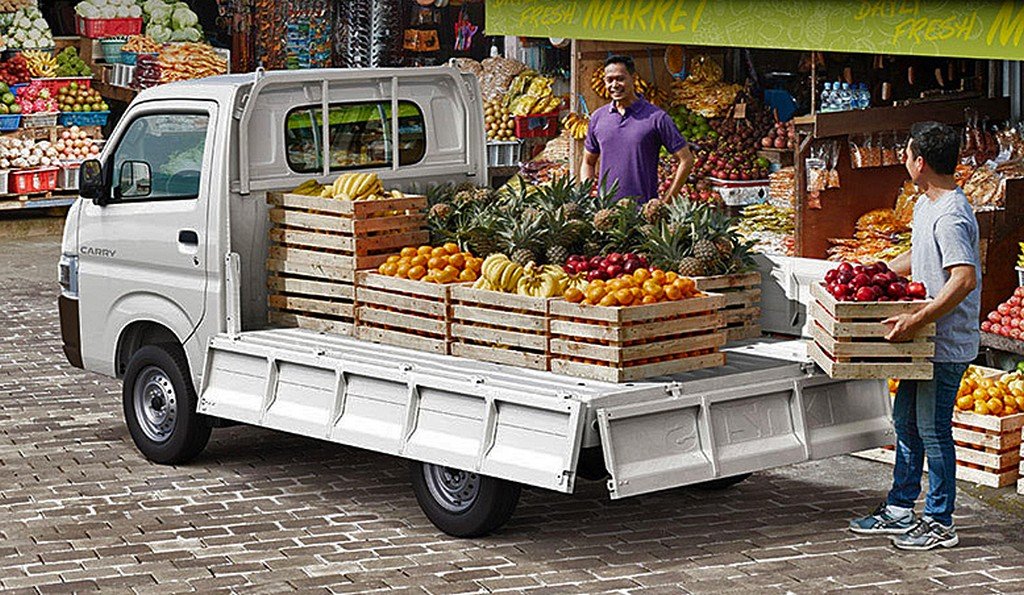 2019 Suzuki Carry Rear