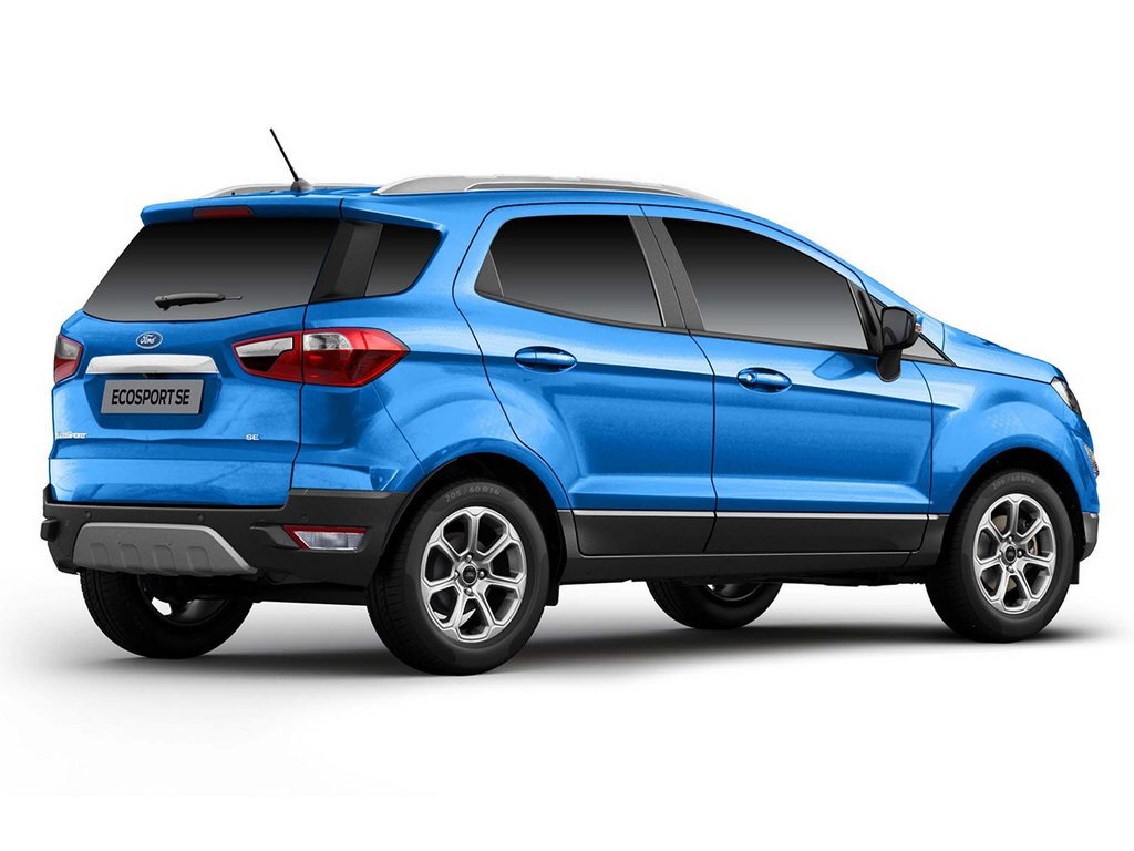 Rear Profile