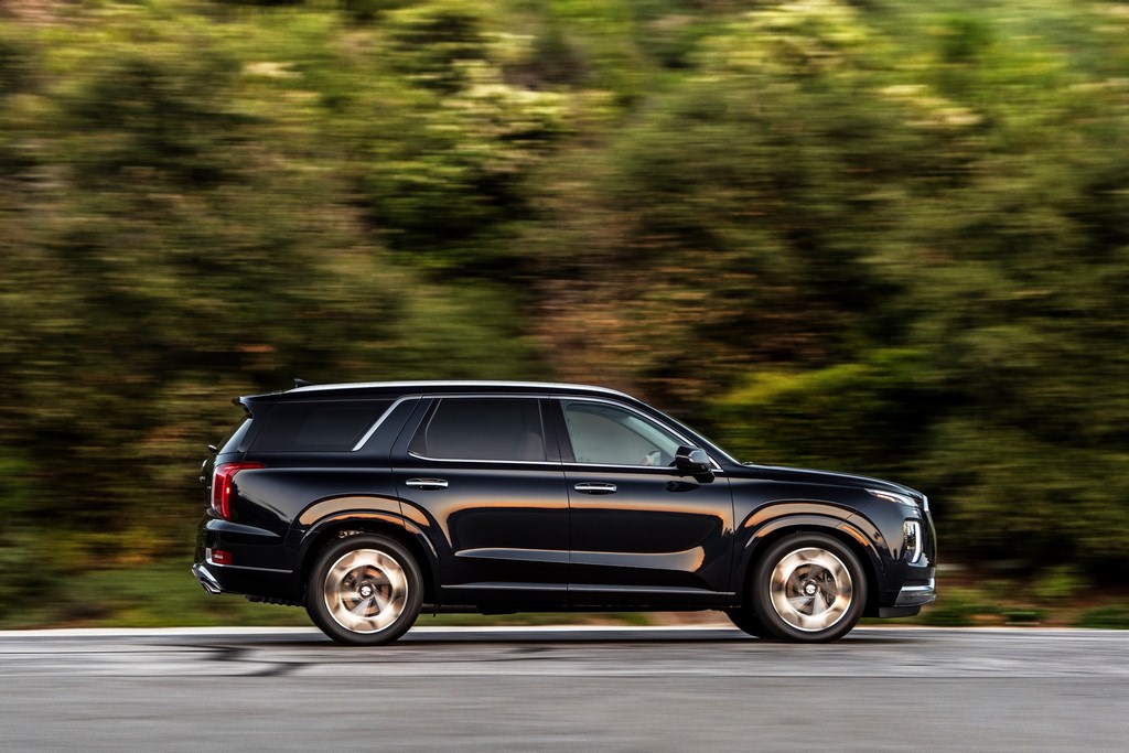 2021 Hyundai Palisade Side