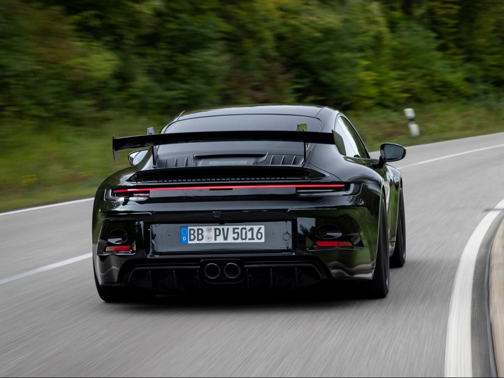 Rear Profile