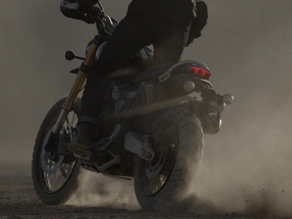 2021 Triumph Scrambler 1200 Steve McQueen Edition Rear