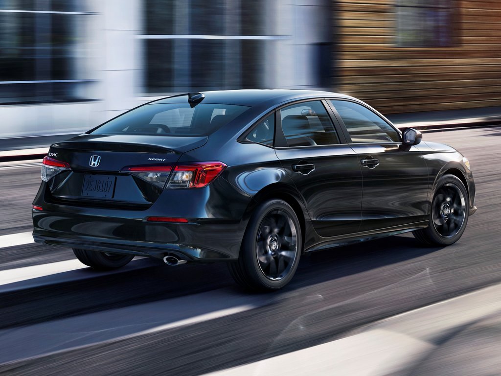 Sport Rear Profile