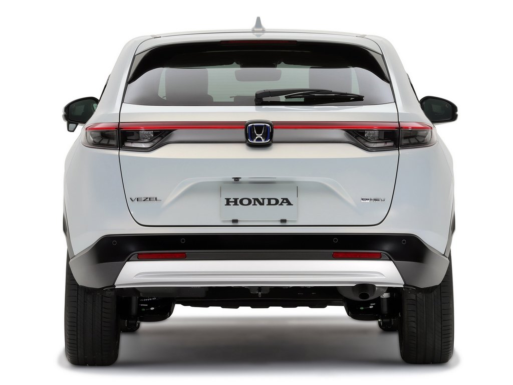 Rear Profile