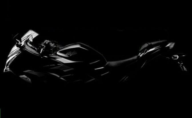 2022 Kawasaki Ninja 300 Teaser Side