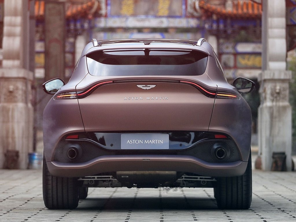 Rear Profile