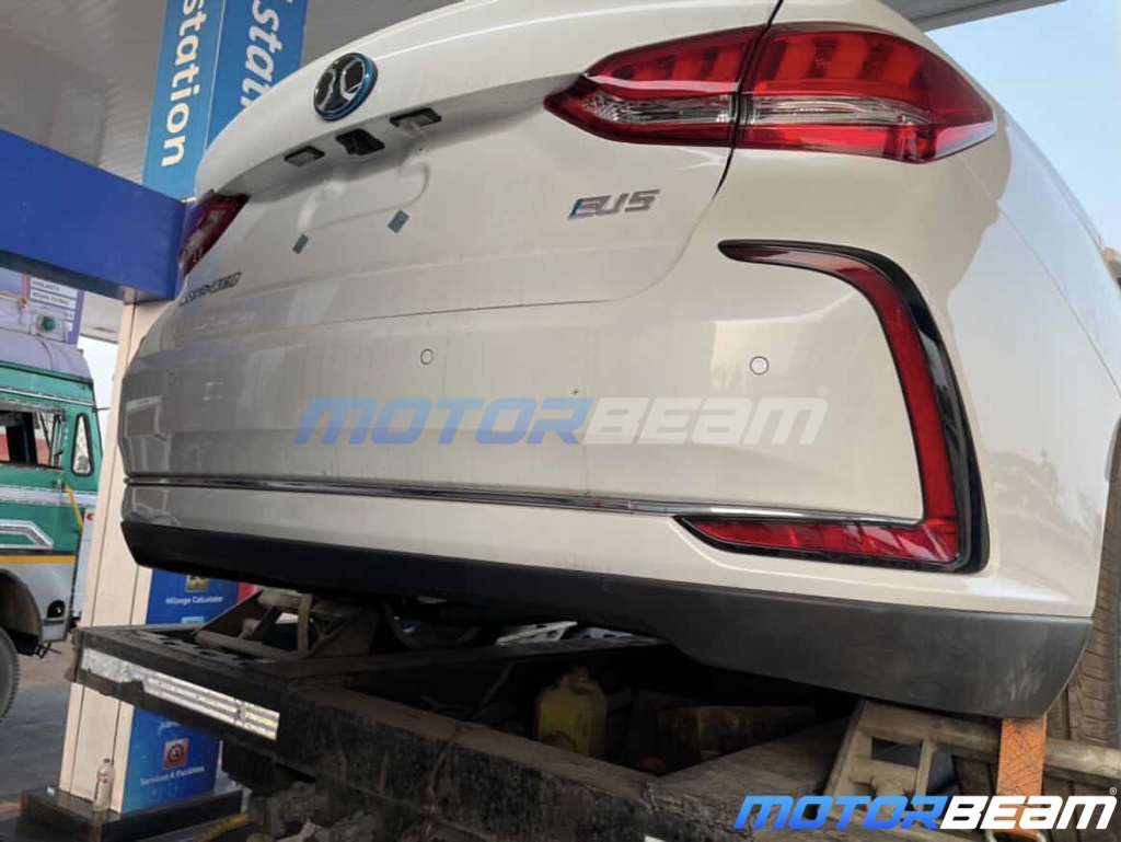 Rear Profile