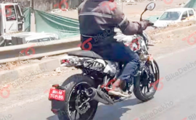 Benelli Leoncino 250 Rear