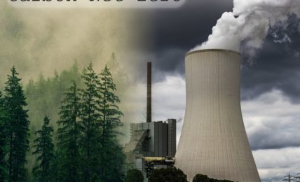 Carbon-Net-Zero-Thumbnail