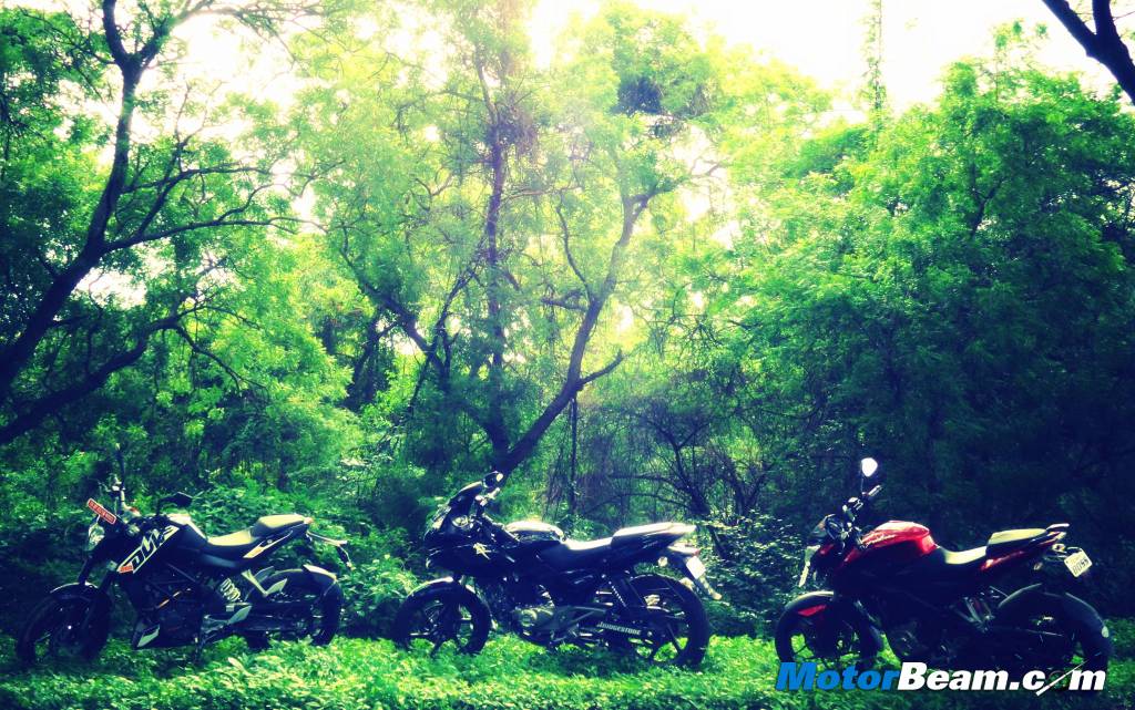 Duke 200 Jungle