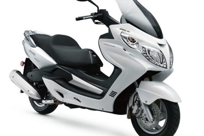 Eider Adonis India