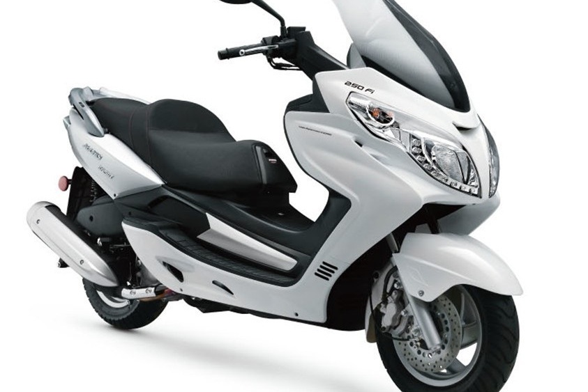 Eider Adonis India