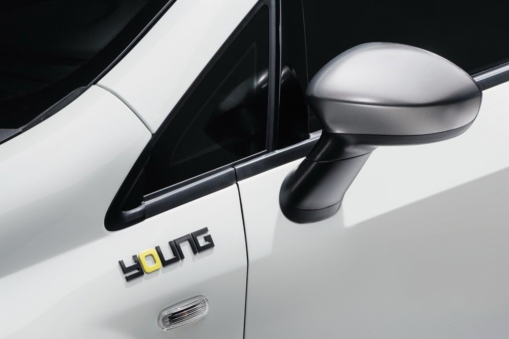 Fiat Punto Young Decals