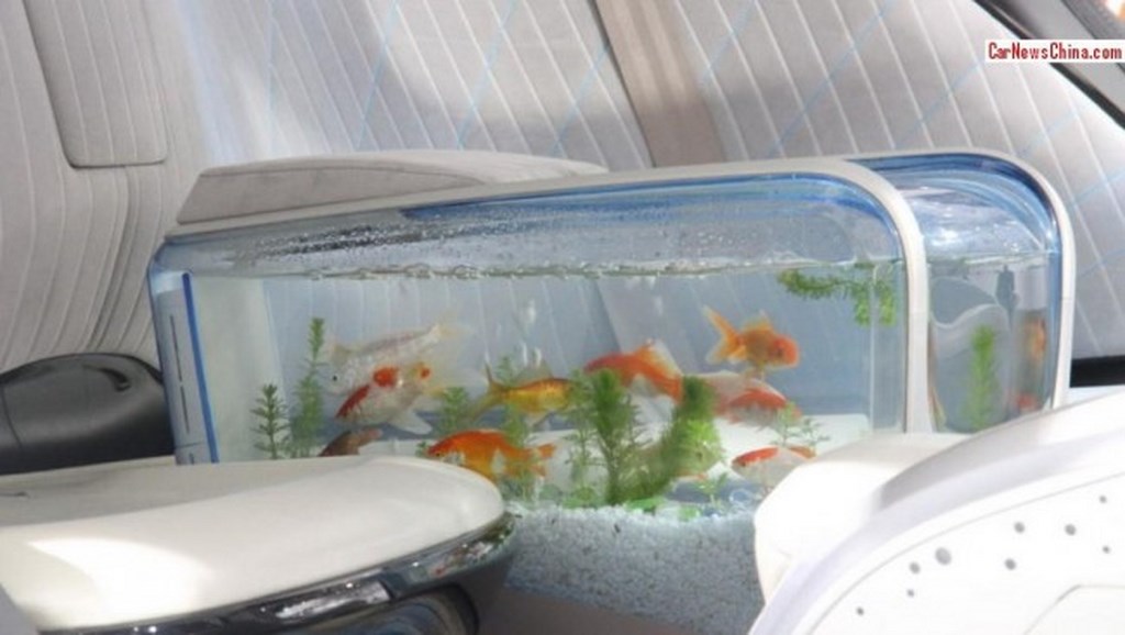Guangzhou Auto Witstar FishTank