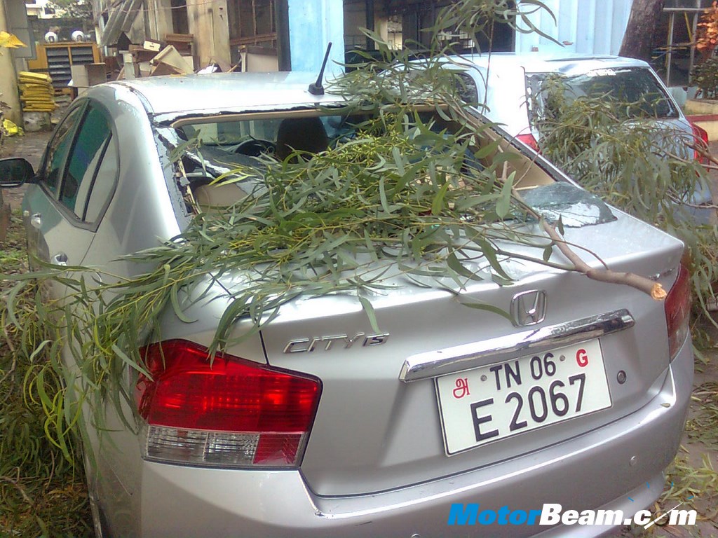 Honda City Tree Damage