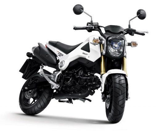 Honda MSX125 White
