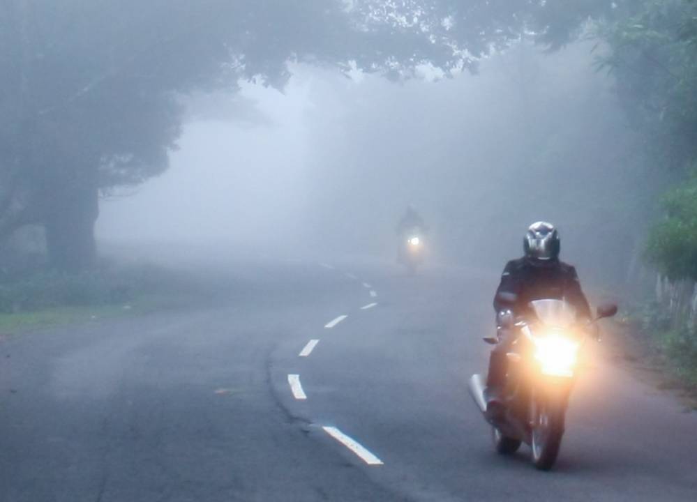 Honda CBR250R Jungle Honda CBR250R Jungle