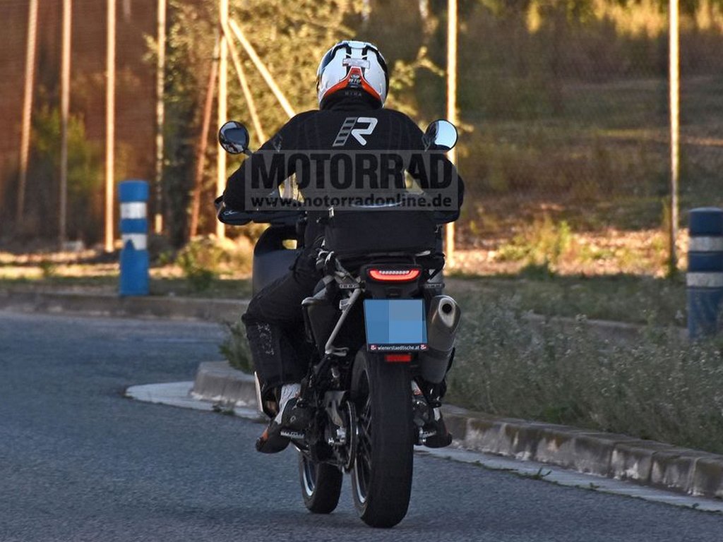 Rear Profile