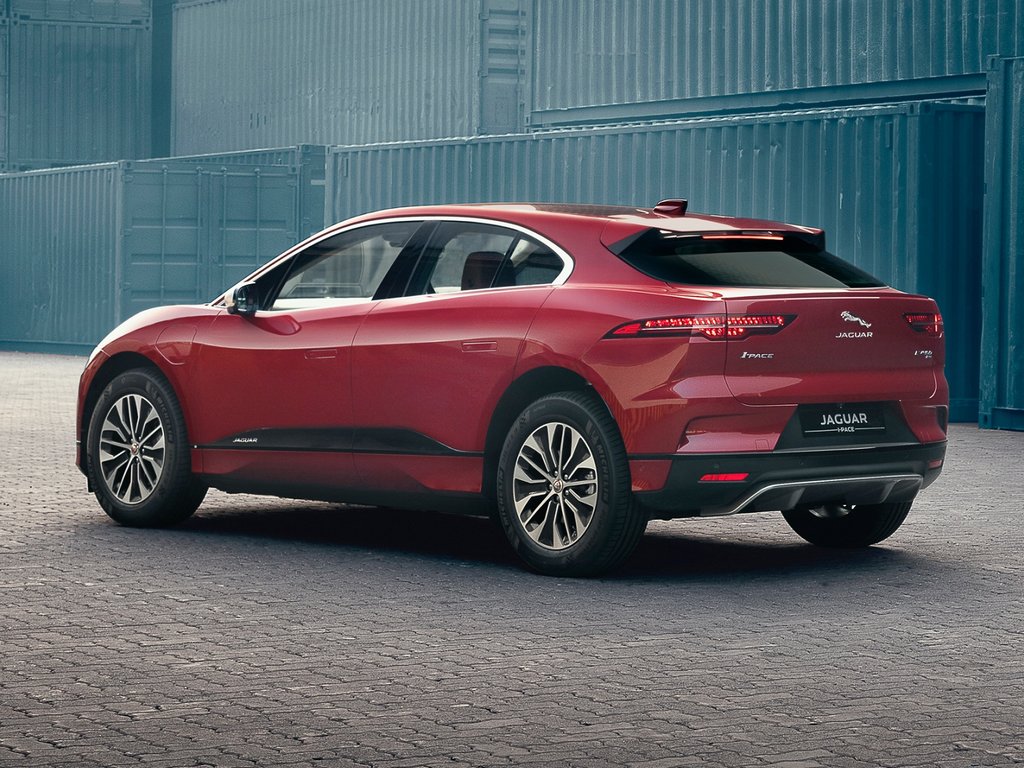 Rear Profile