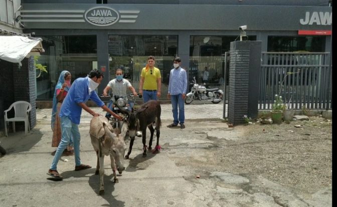 Jawa Onwer Donkey Rally