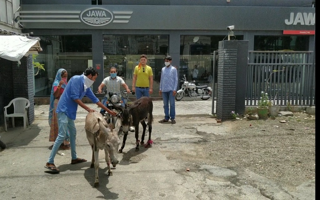 Jawa Onwer Donkey Rally