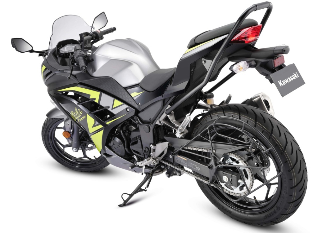 Kawasaki Ninja 300 rear