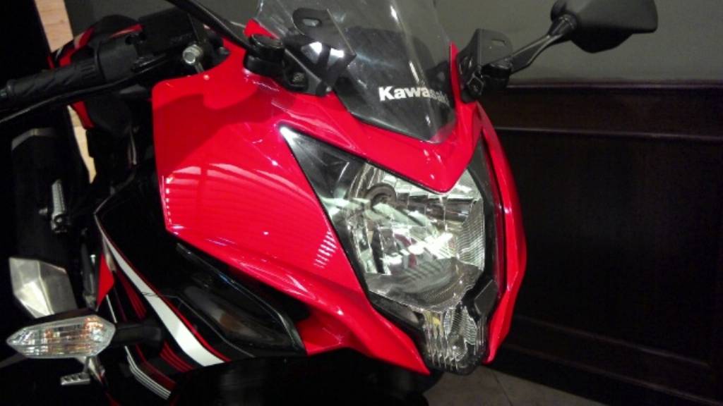 Kawasaki Ninja Mono RR