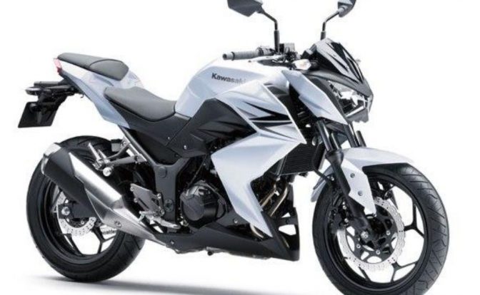 Kawasaki Z250 Official