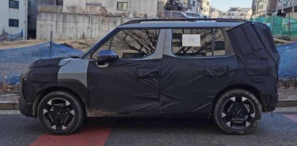 Kia Clavis Spotted Side