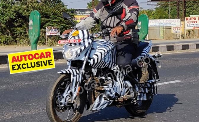 Pulsar Eleganz Spied