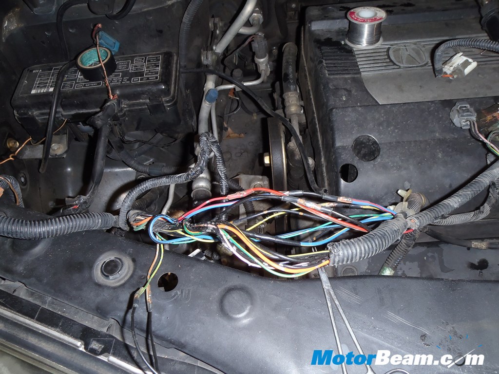 Rodents Eating Car Wires
