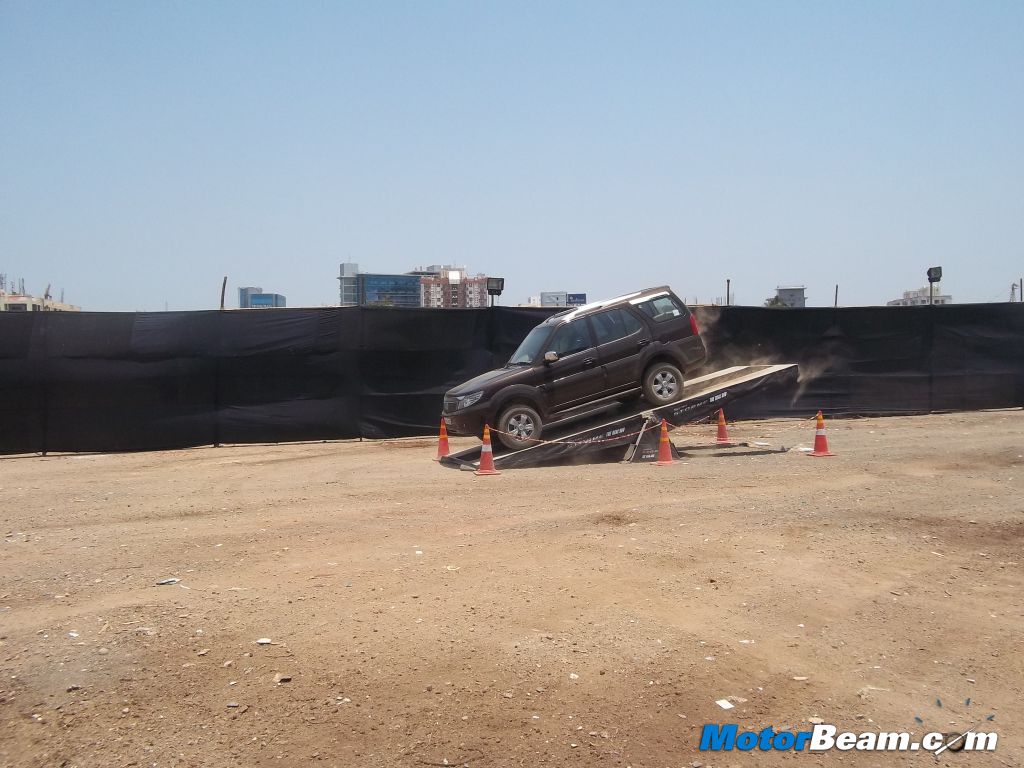 Safari Storme See Saw