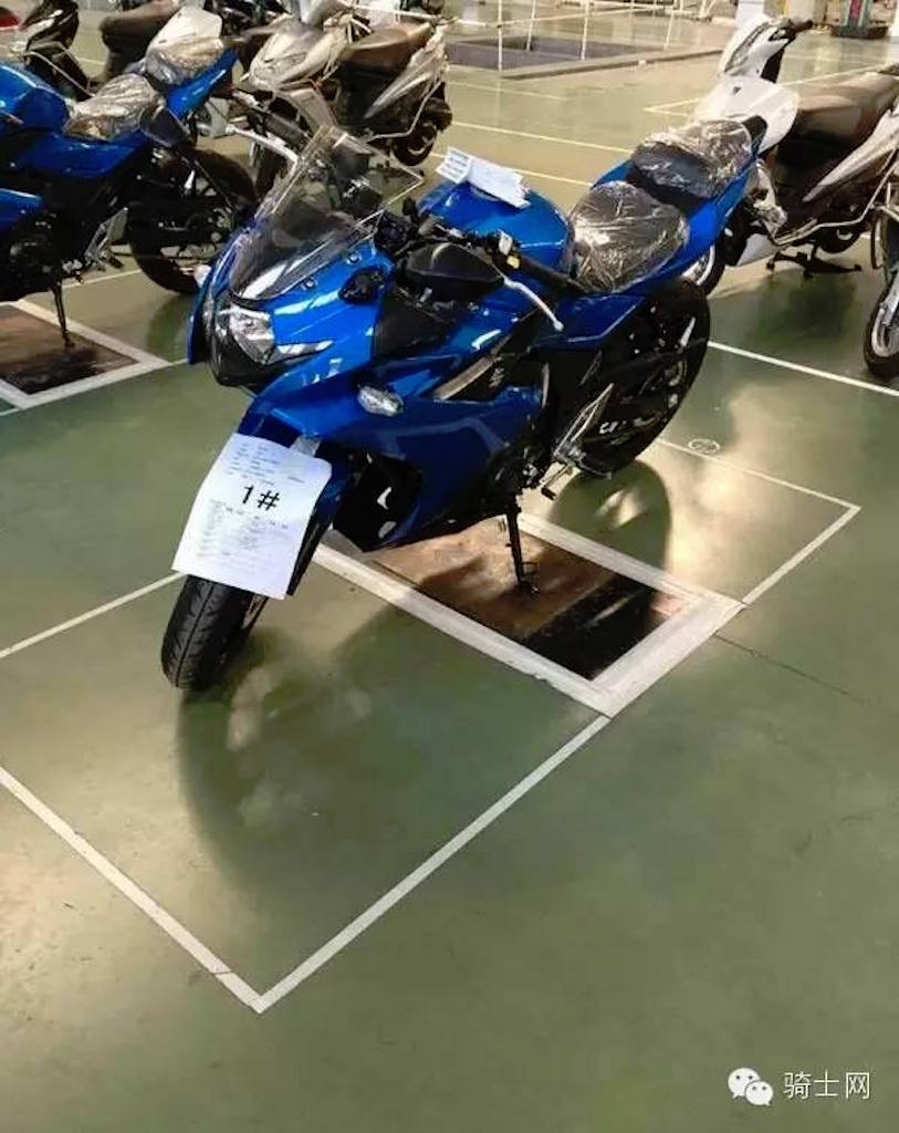 Suzuki GSX-R250 Spied Japan