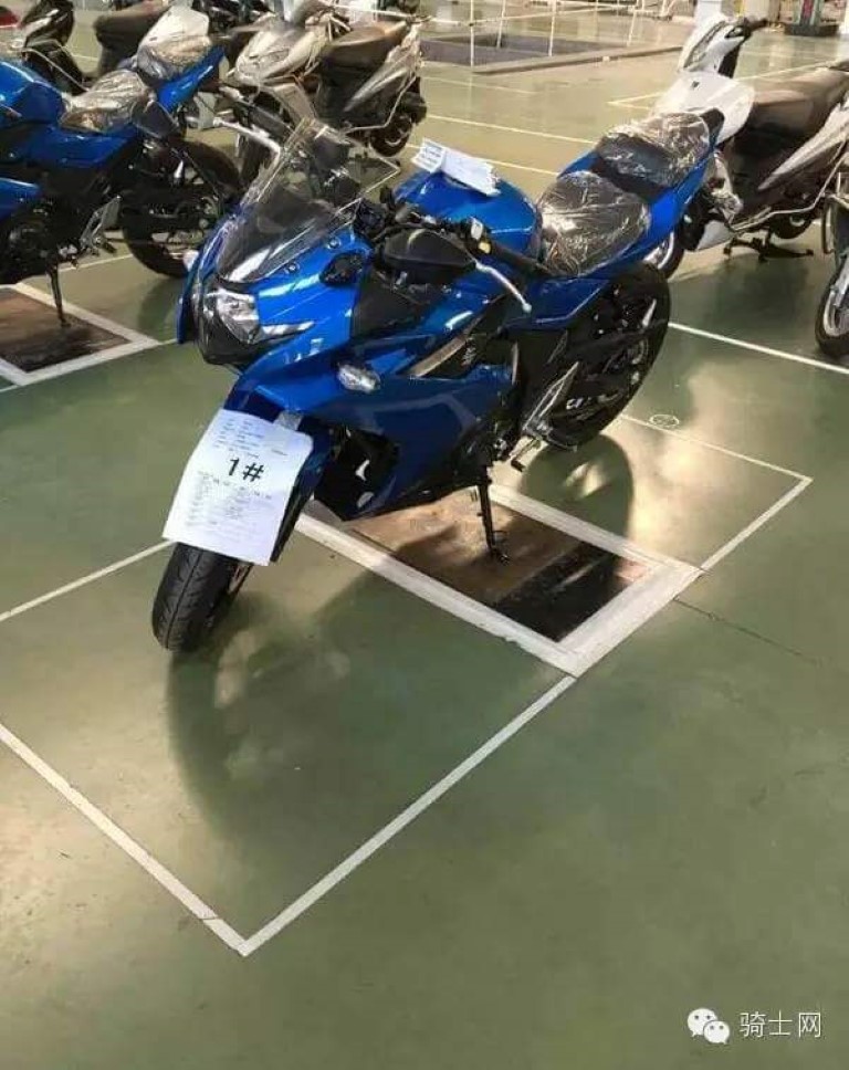Suzuki Gixxer 250 Spied