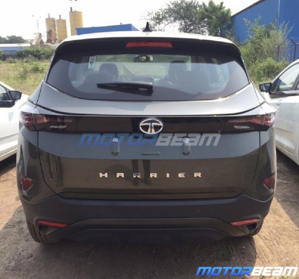 Rear Profile