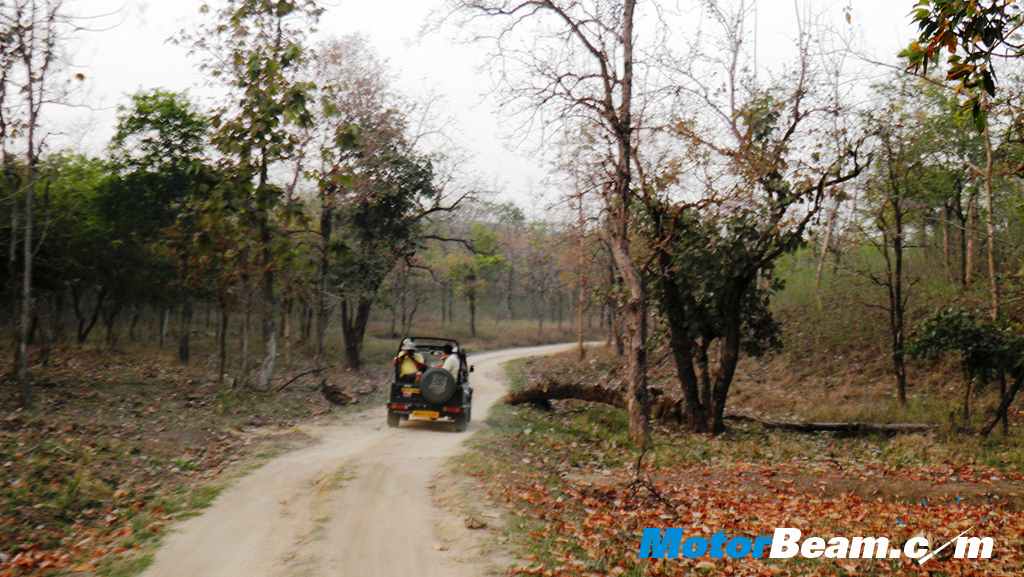 Tata Jungle Experience Safari