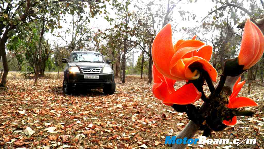 Tata Jungle Experience Xenon lights