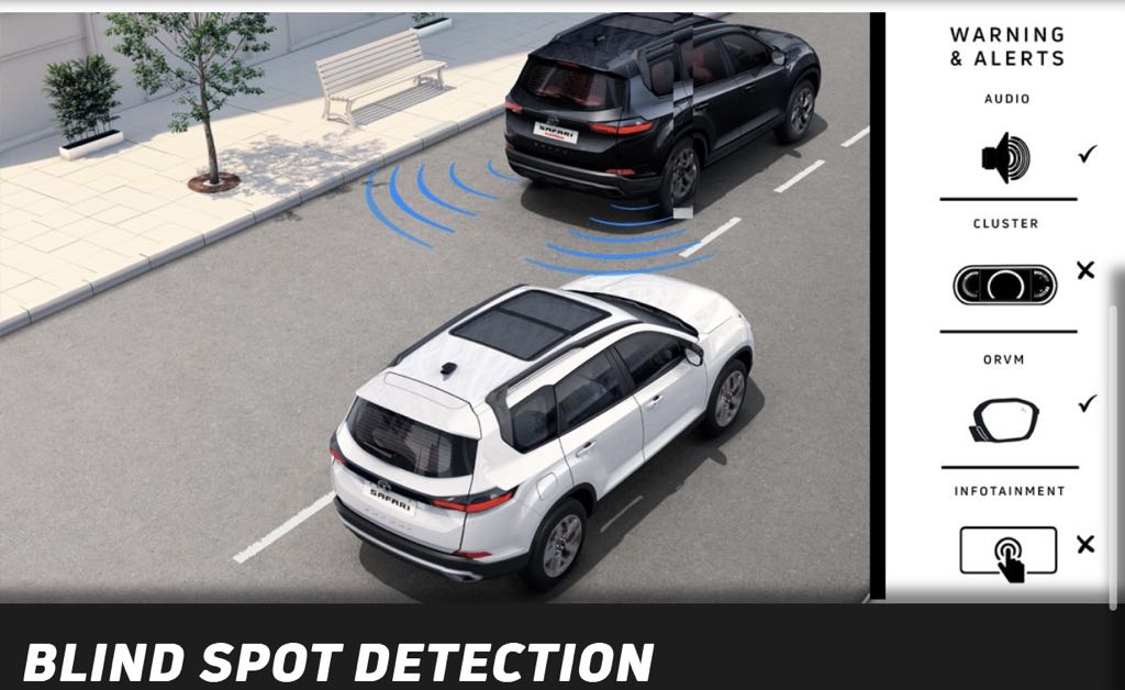 Blind Spot Detection
