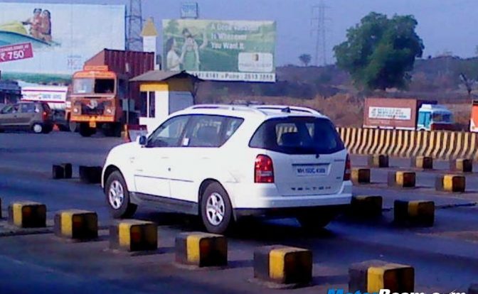 White Rexton On Test