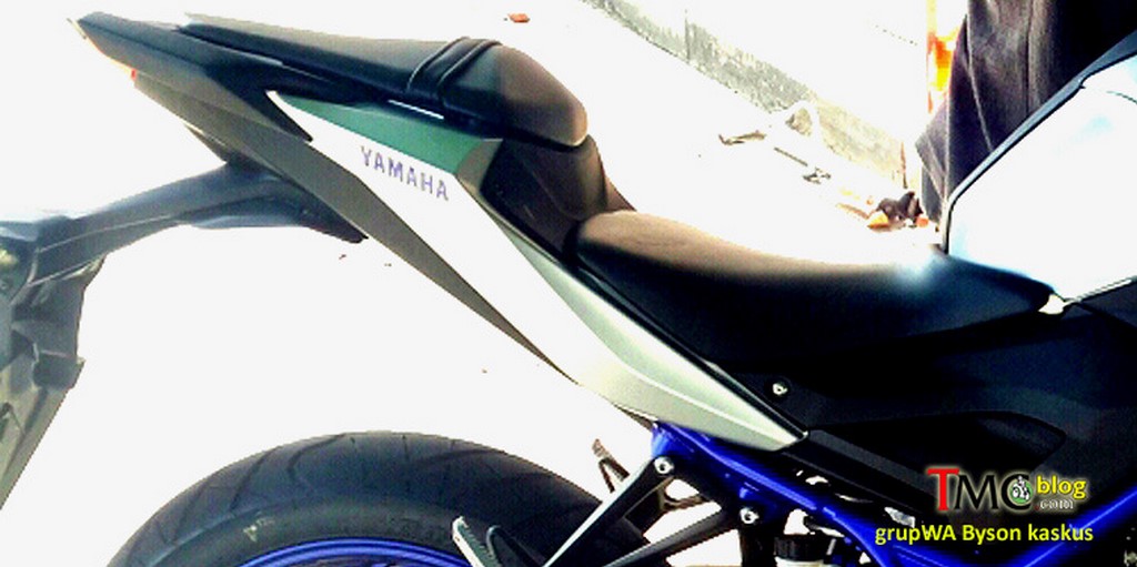 Yamaha MT-25 Rear