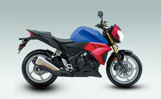 ZJMM R12 Streetfighter